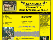 Tablet Screenshot of elkarama.co.nz